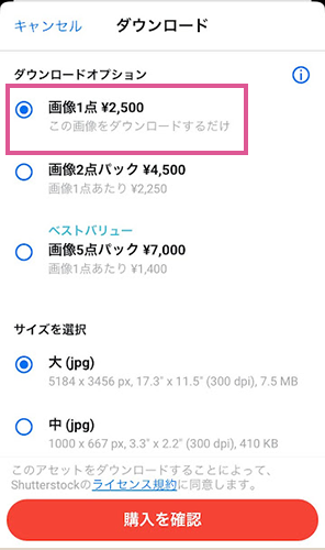 shutterstockのiOSアプリで1点のみダウンロードする方法