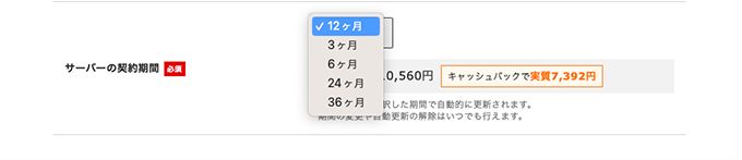 シンレンタルサーバー・サーバーの契約期間